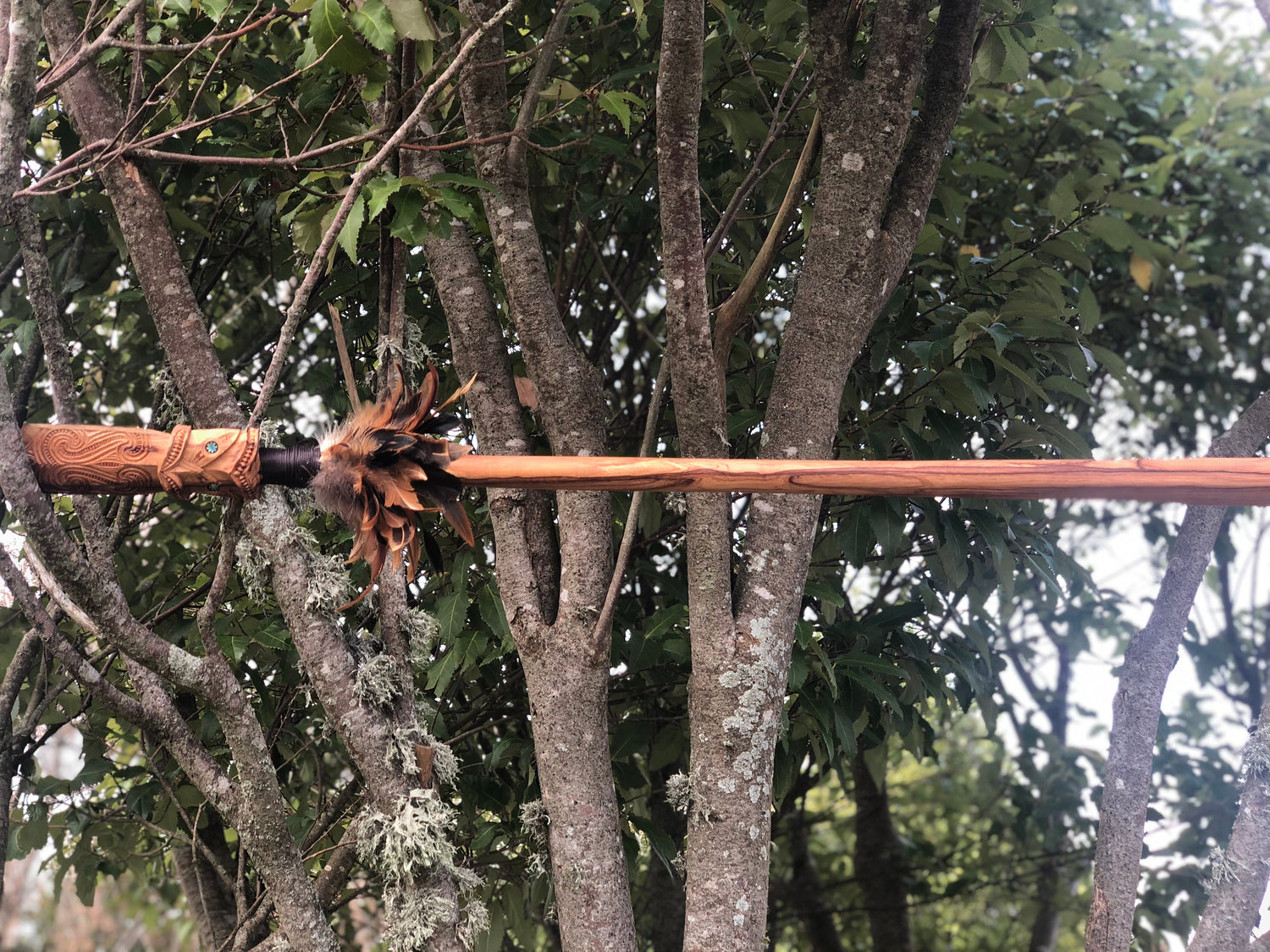 Whakairo / Ngā uri o Tū